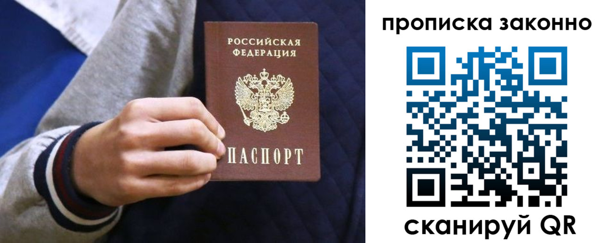 прописка гарантия в Камышине